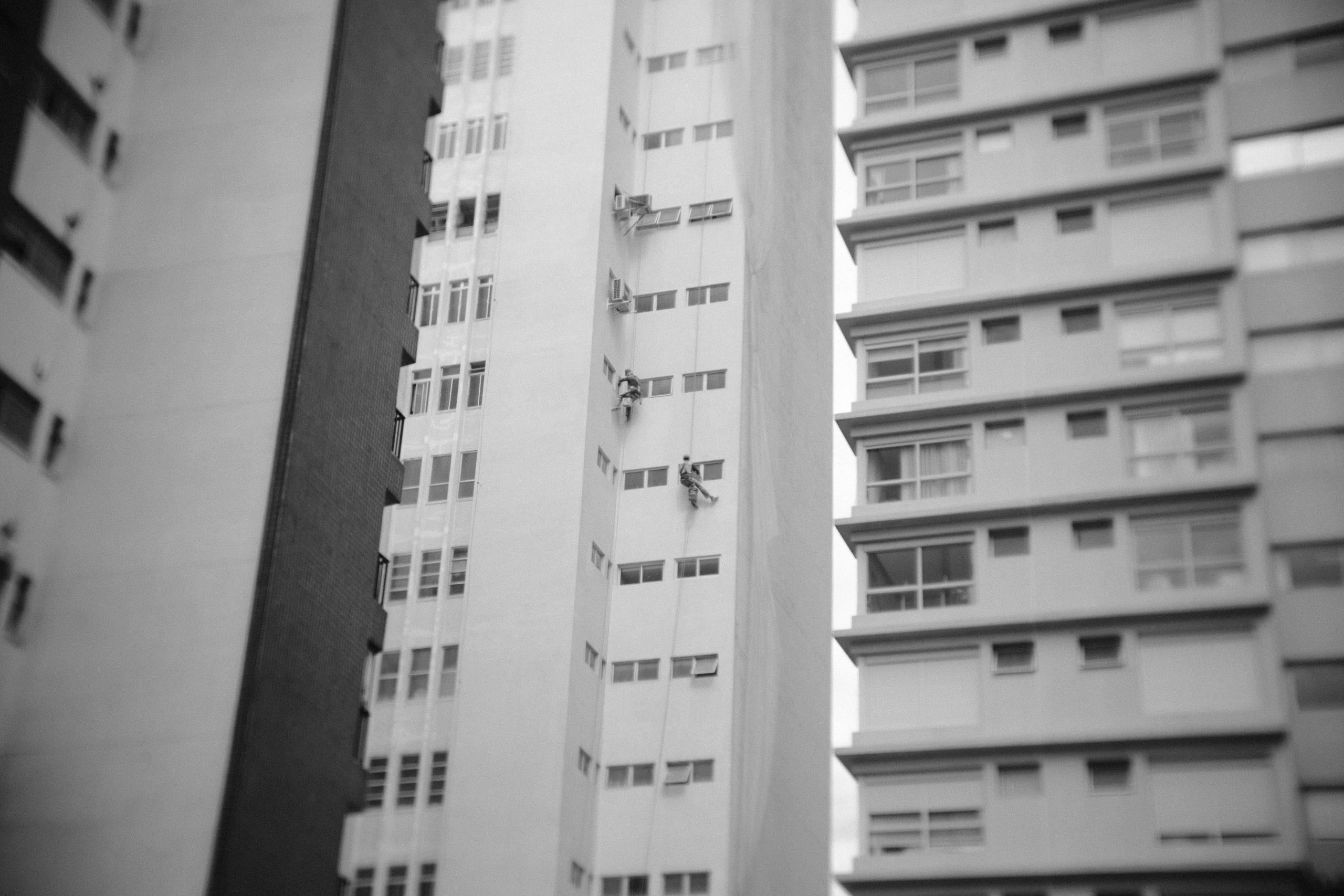 pexels-leo-sacchi-320380457-30668336